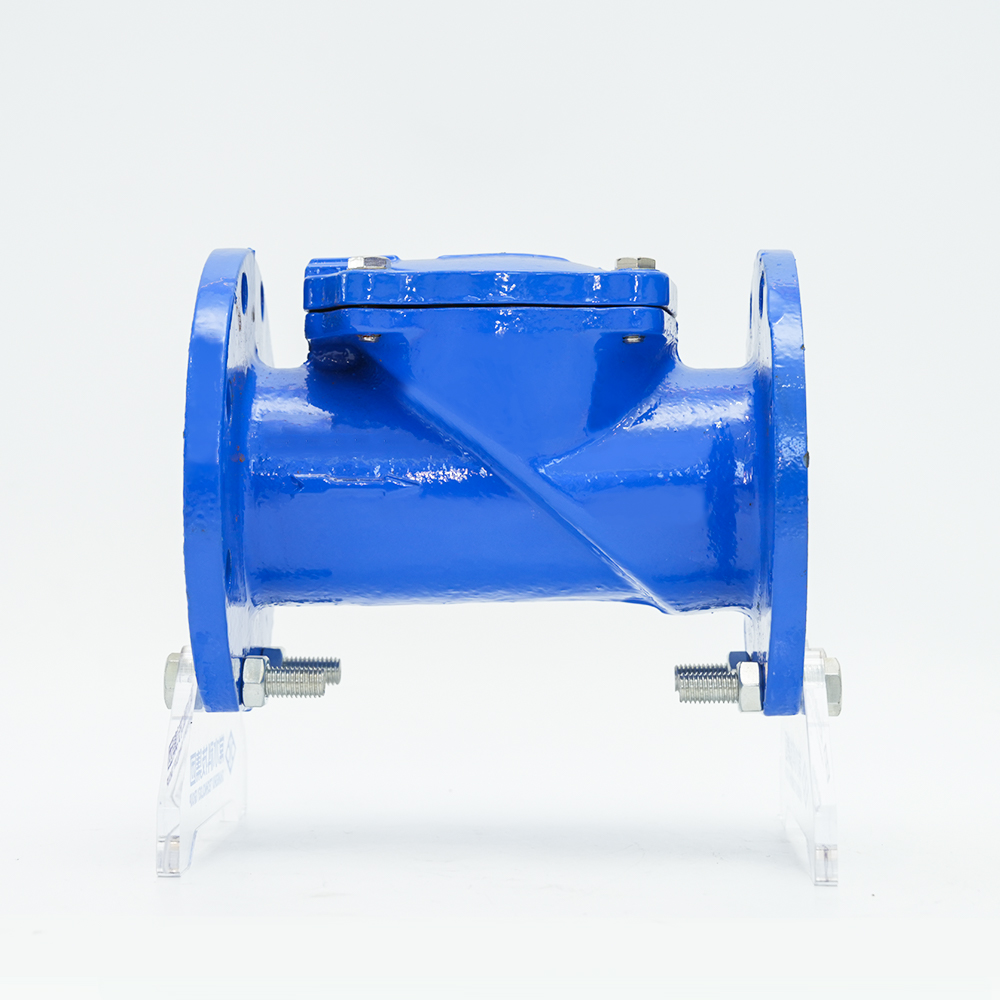 Rubber Disc Check Valve H44X-16Q