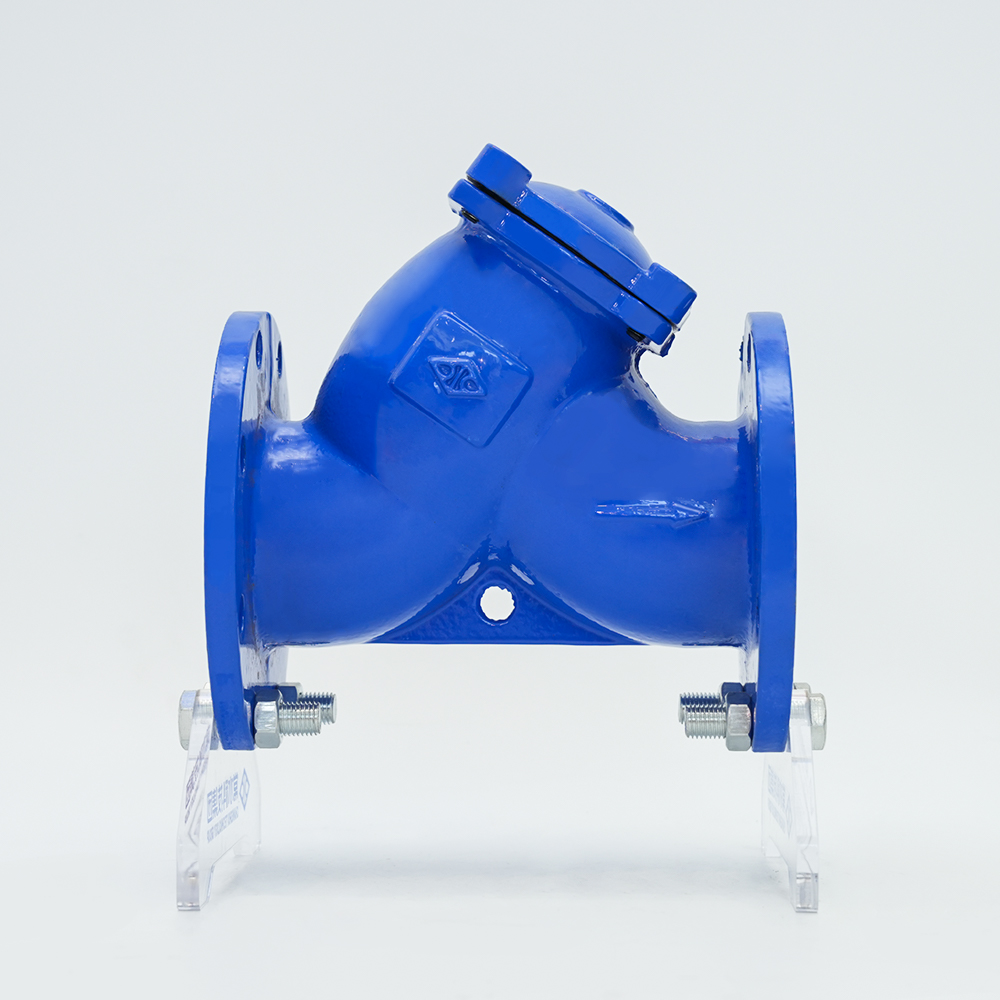 Cast Iron Y-type Filter GL41H-16Q