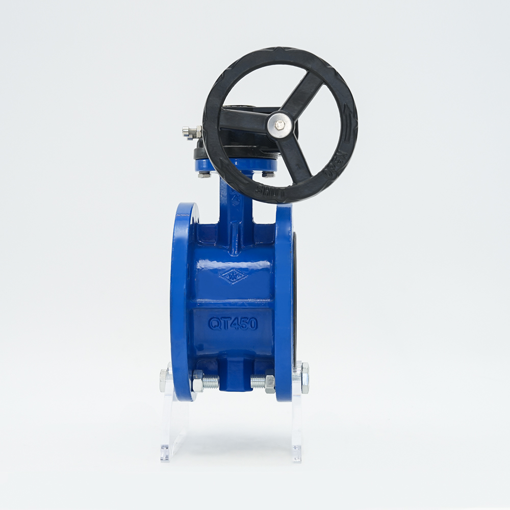 Turbine Flange Butterfly Valve D341X-16Q