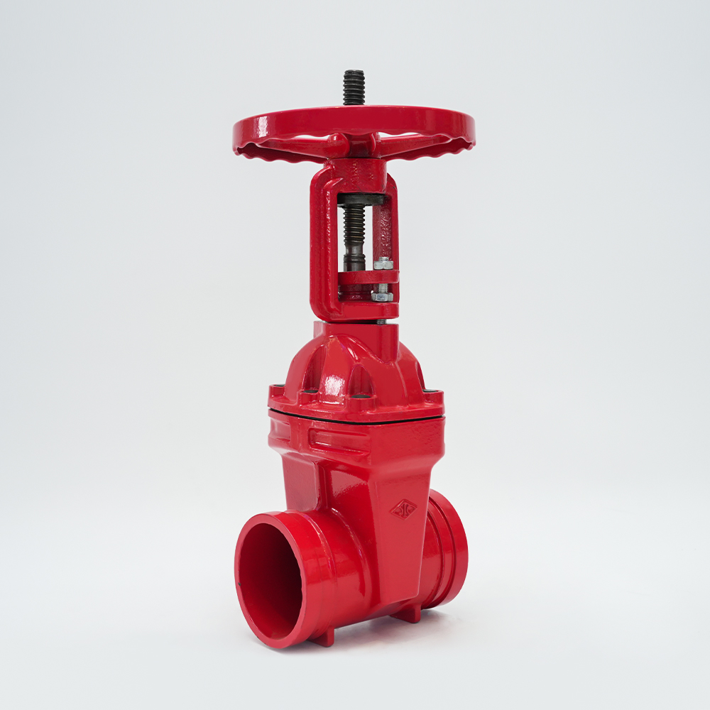 Grooved Rising Stem Gate Valve Z81X-16Q